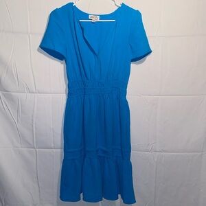 Tahari Dress